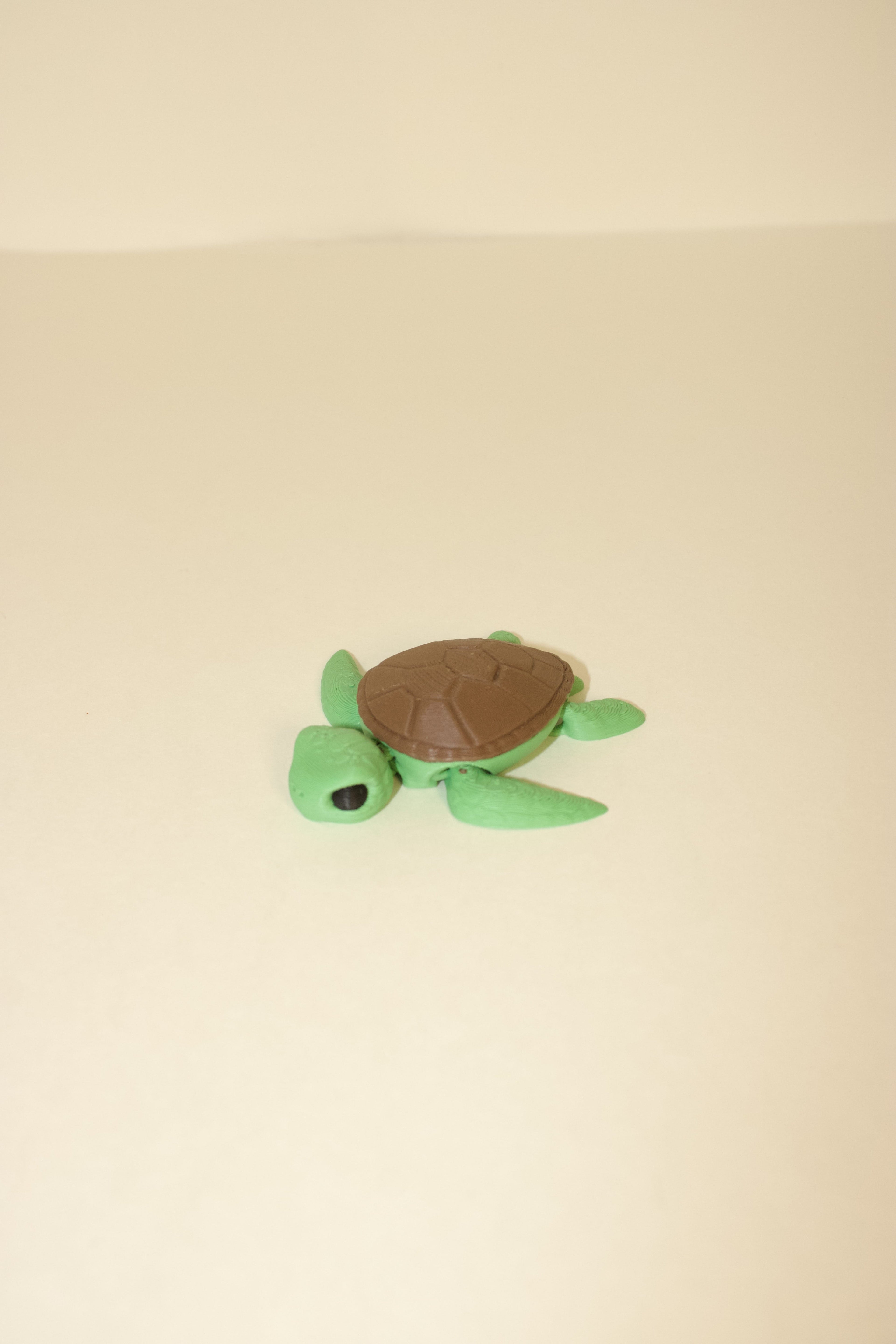 Flexi Articulated Sea Turtle – Cute 3D Printed Turtle Toy | Swimmy Turtle Fidget Animal