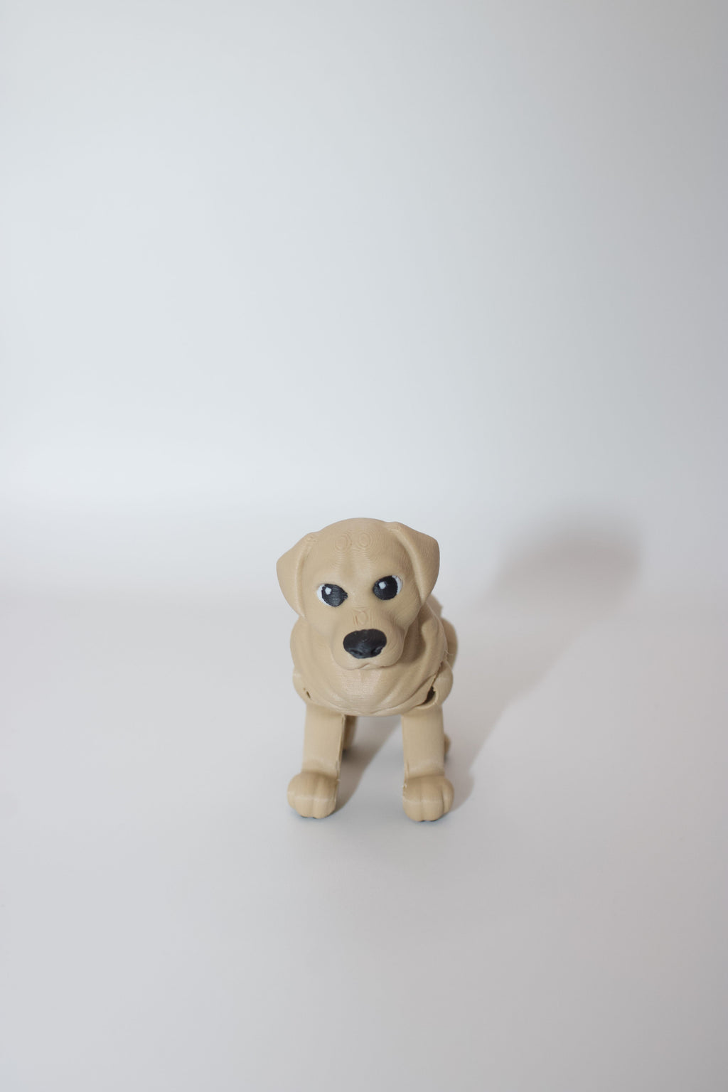 Articulated Golden Retriever Dog Toy – Cute 3D Printed Flexible Pup with Toe Beans!