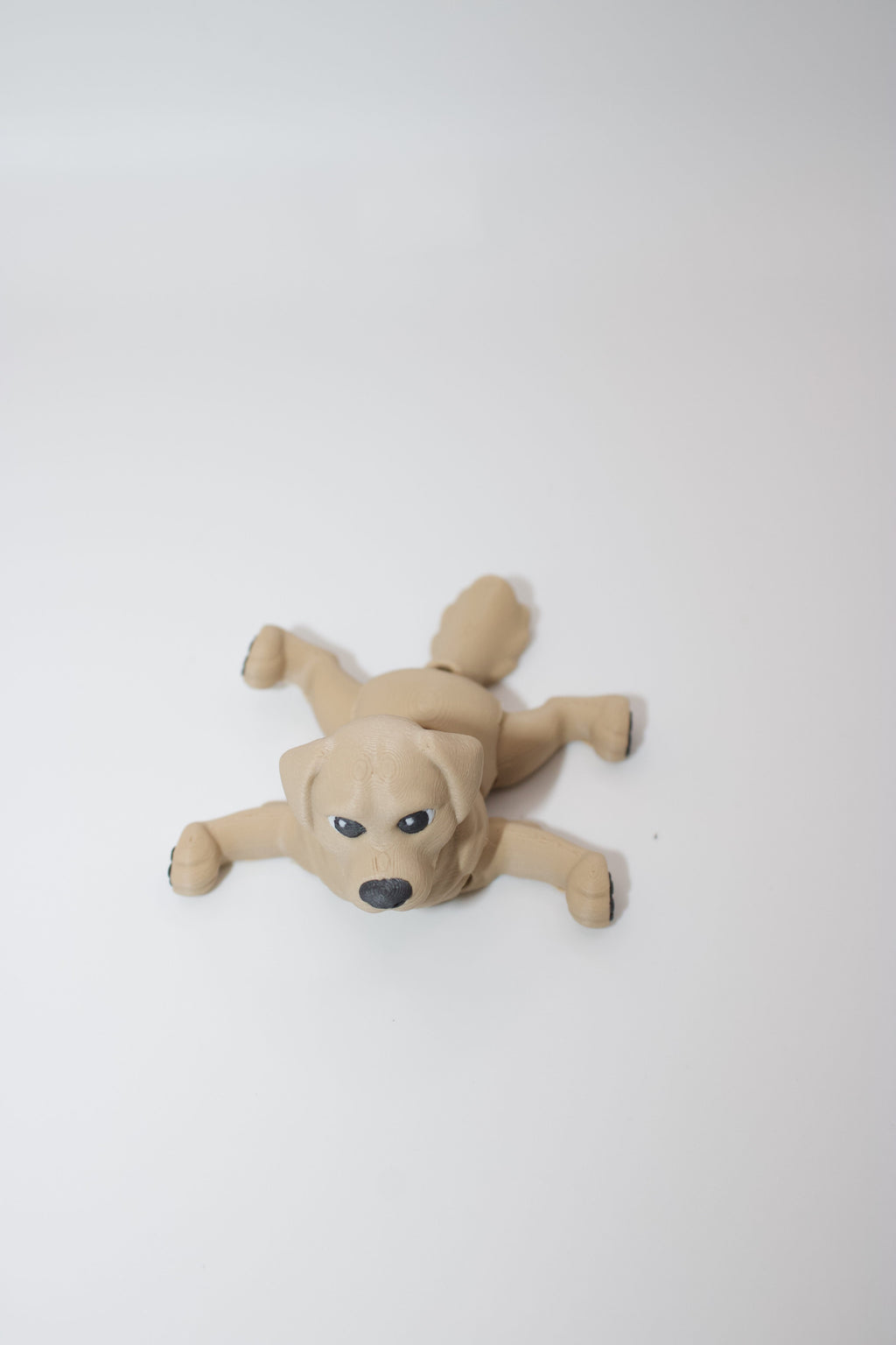 Articulated Golden Retriever Dog Toy – Cute 3D Printed Flexible Pup with Toe Beans!