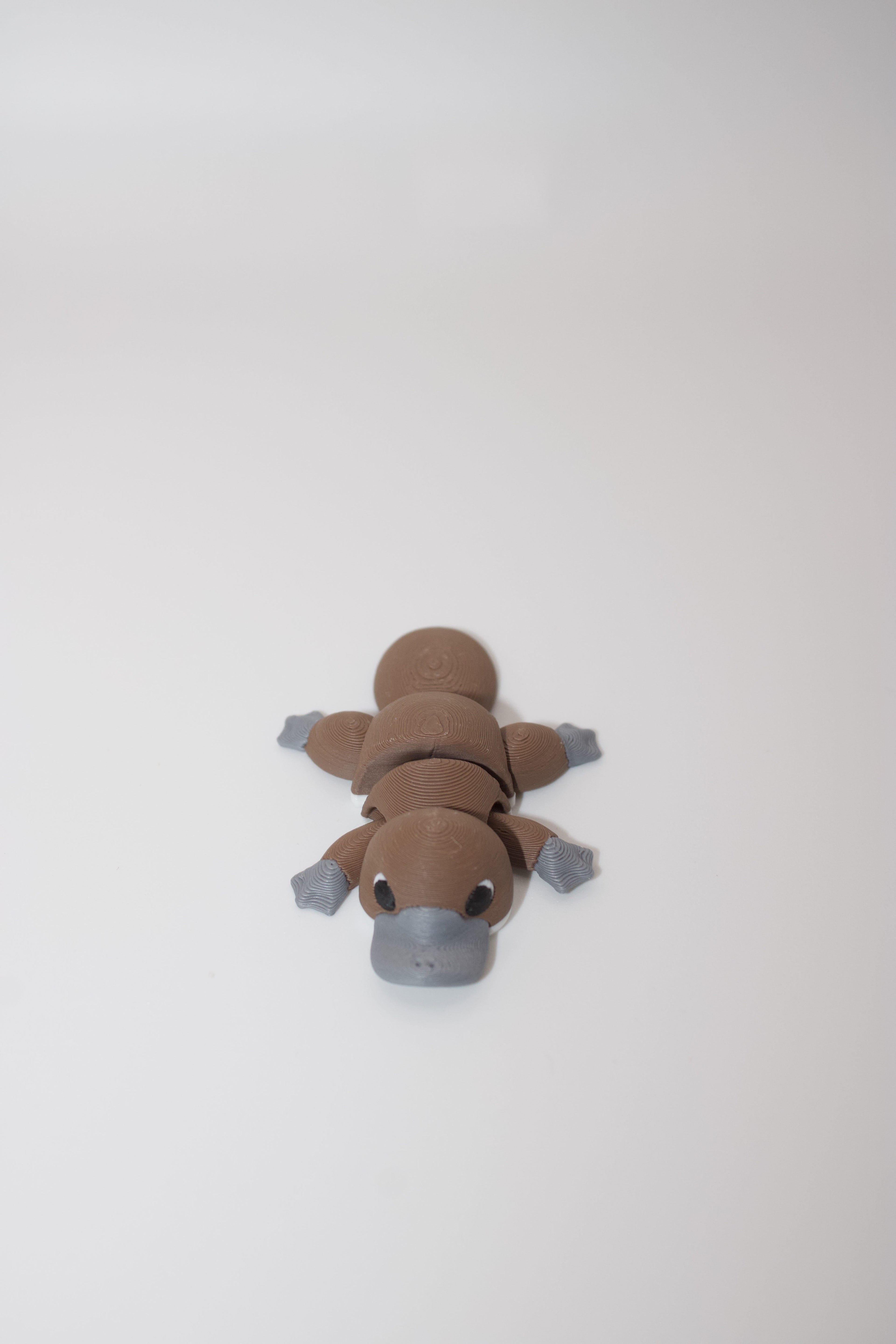 Flexi Articulated Platypus – Cute 3D Printed Toy | Plodding Platypus Fidget Animal Gift