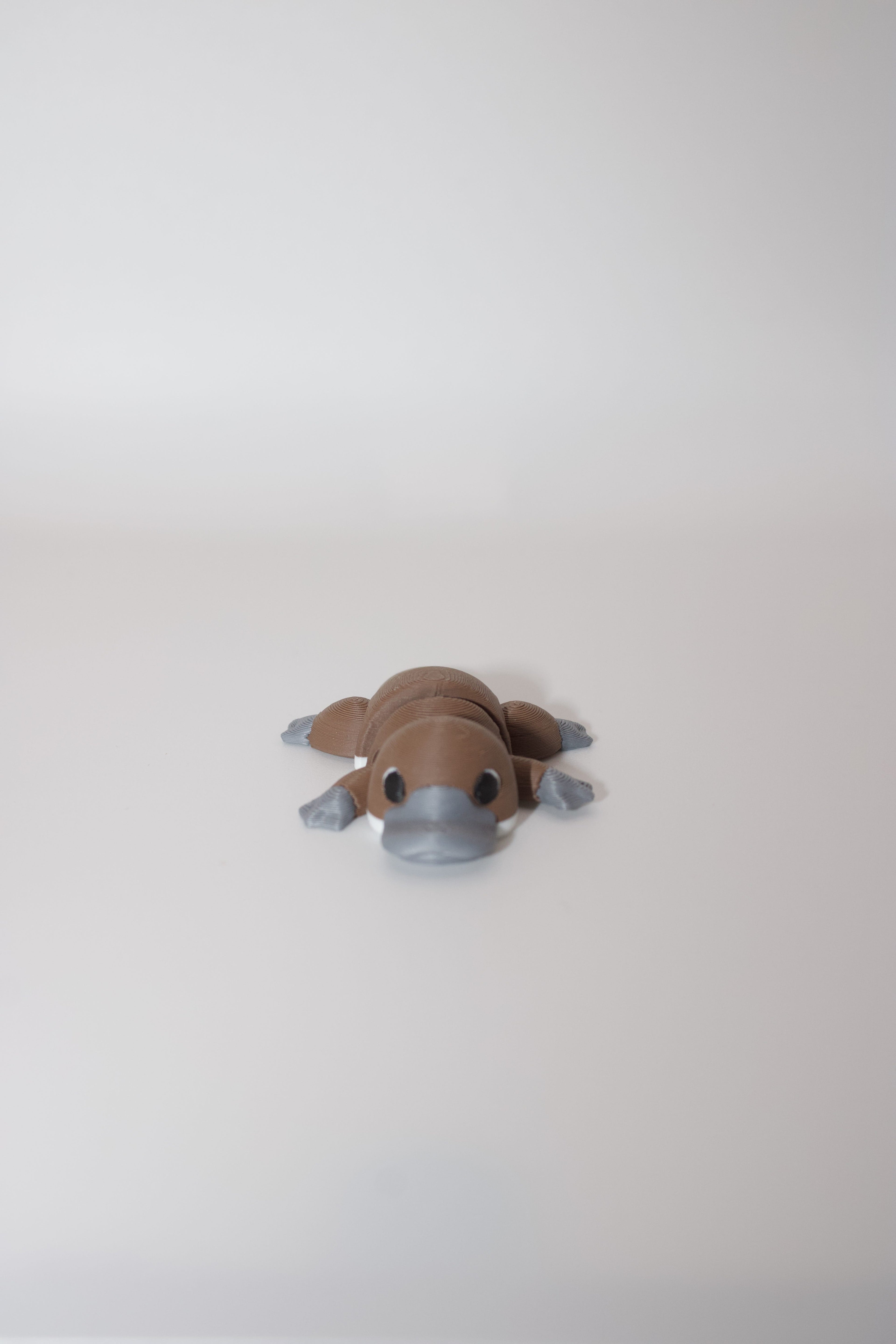 Flexi Articulated Platypus – Cute 3D Printed Toy | Plodding Platypus Fidget Animal Gift