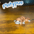Flexi Articulated Platypus – Cute 3D Printed Toy | Plodding Platypus Fidget Animal Gift